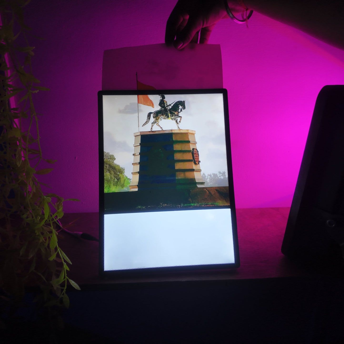 Shivaji Raje Led Frame
