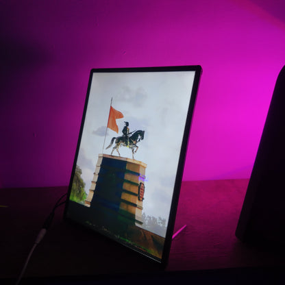 Shivaji Raje Led Frame